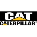 Caterpillar