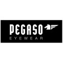 Pegaso Eyewear